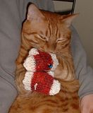 kittenmittens.jpg image by robinjs